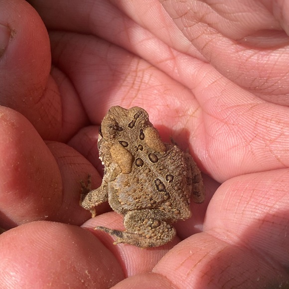 Bundle ANY 3 items to save 15%!!!! - Picture 6 of 7